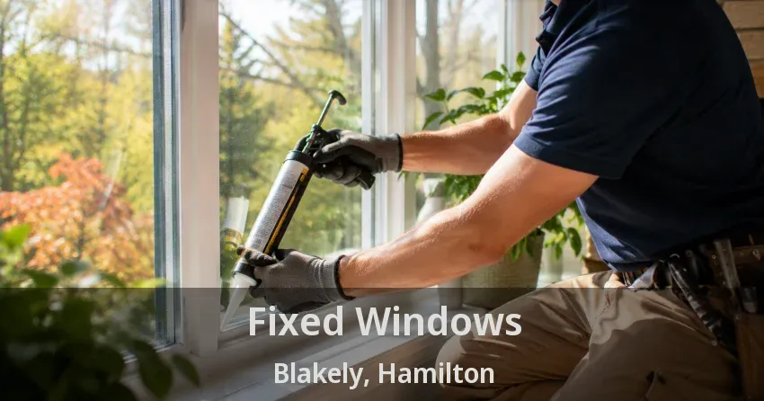 Fixed Windows Blakely, Hamilton - ON