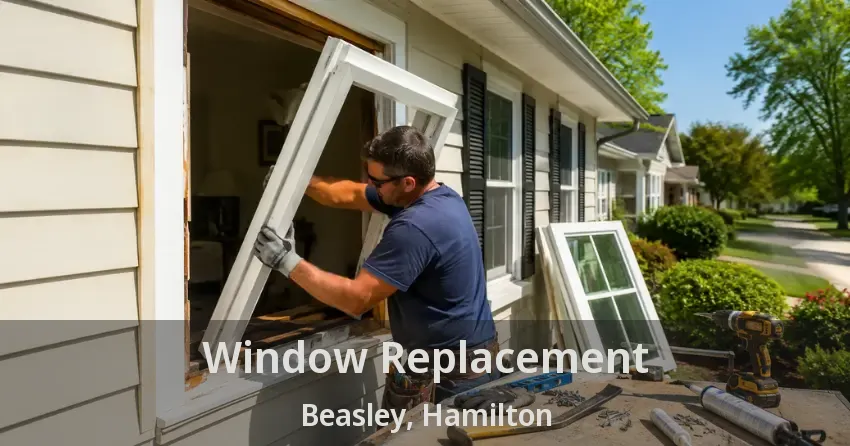 Window Replacement Beasley, Hamilton - ON